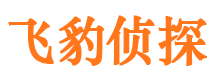 洛南外遇调查取证